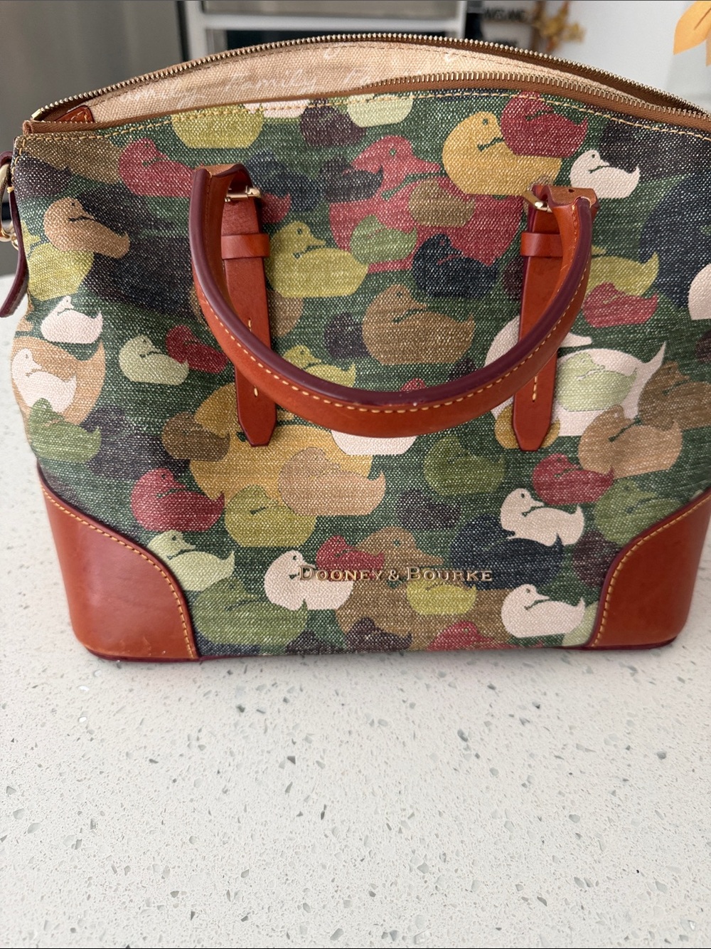 Dooney & Bourke Multicolor Duck-Print Satchel — Green/Tan Accents